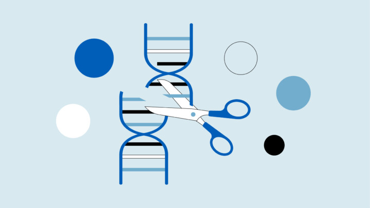 Illustration of scissors cutting a DNA double helix, symbolizing CRISPR gene editing, with colored circles in the background.